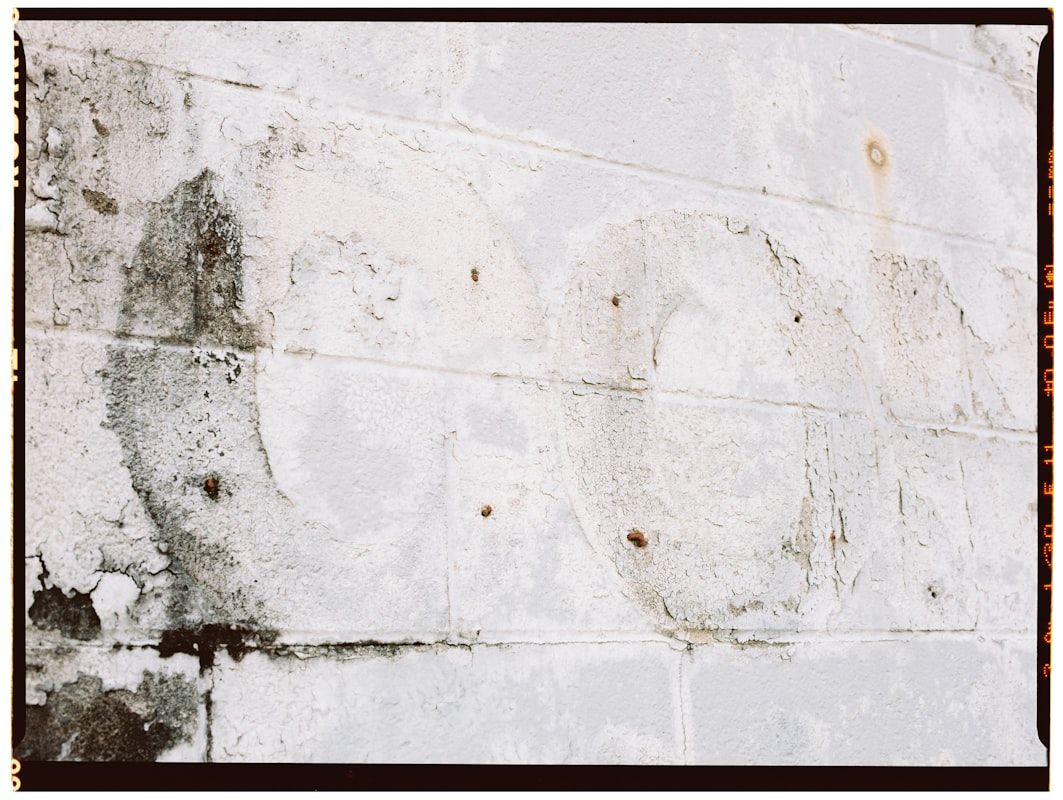 Mold Remediation service in Torrance, CA